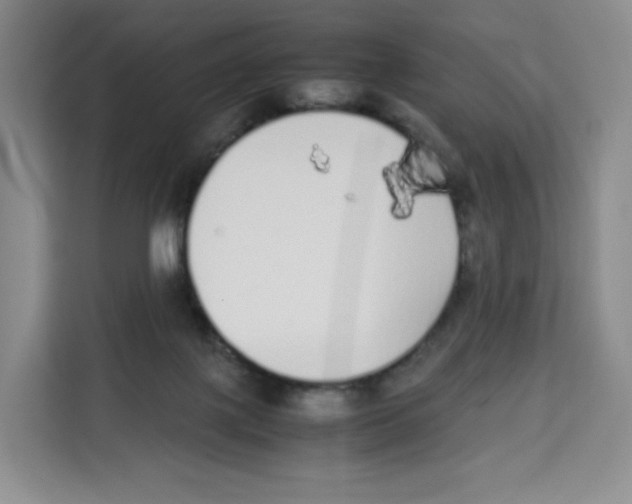 X0000113910075200910221342