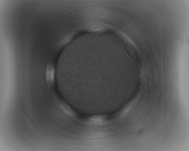 X0000113910076200910221342