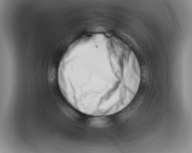 X0000113910077200910221342
