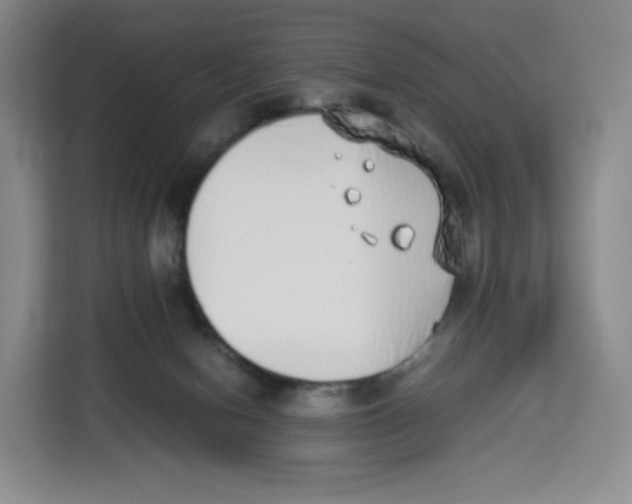 X0000113910078200910221342
