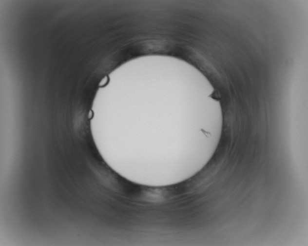 X0000113910079200910221342
