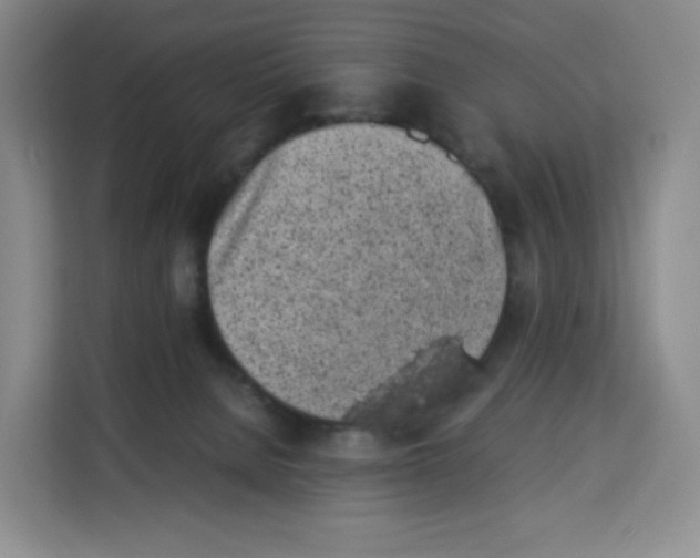 X0000113910080200910221342