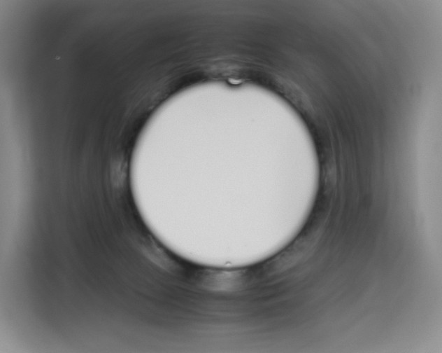 X0000113910081200910221342