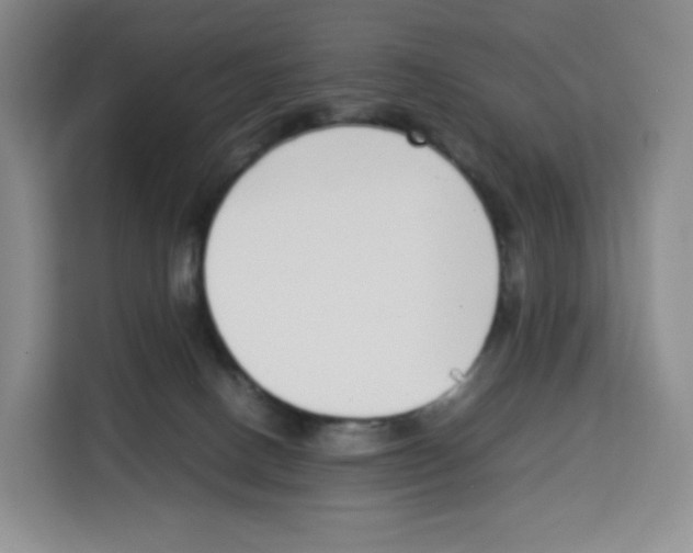 X0000113910082200910221342