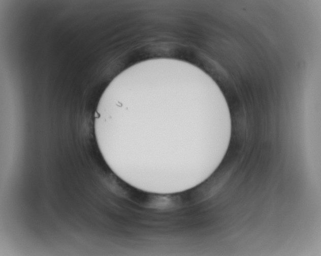 X0000113910083200910221342