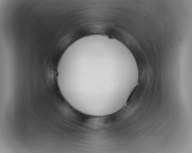 X0000113910084200910221342
