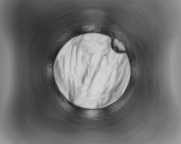 X0000113910085200910221342