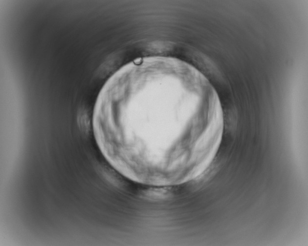 X0000113910086200910221342