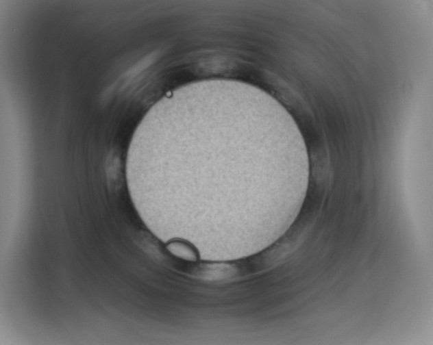 X0000113910087200910221342