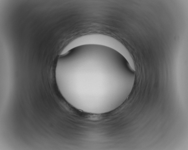 X0000113910088200910221342