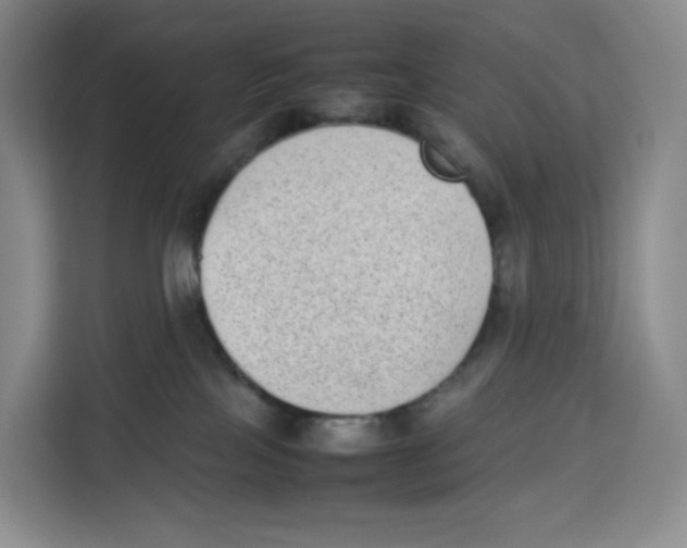 X0000113910089200910221342