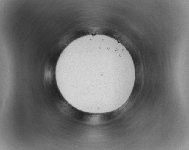 X0000113910090200910221342