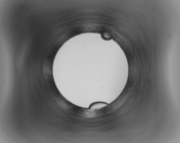 X0000113910091200910221342