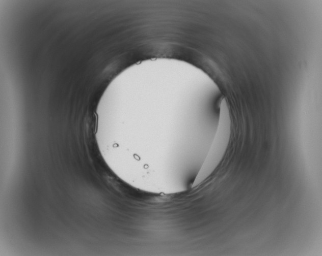 X0000113910092200910221342