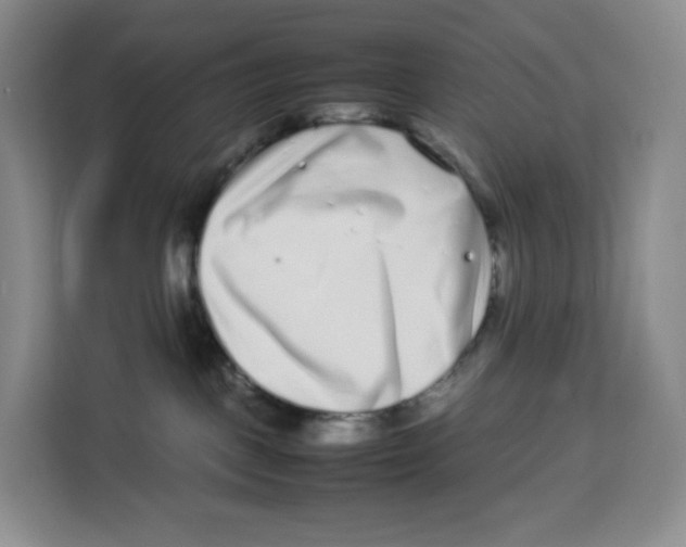 X0000113910093200910221342