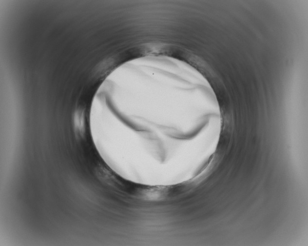 X0000113910094200910221342