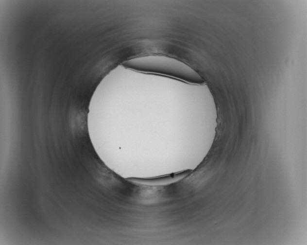 X0000113910096200910221342