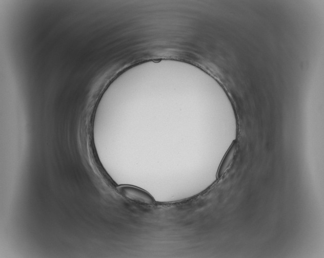 X0000113910097200910221341
