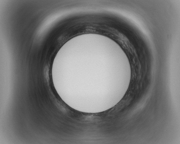 X0000113910098200910221341