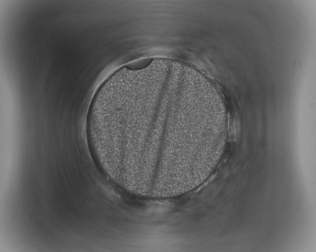 X0000113910099200910221341
