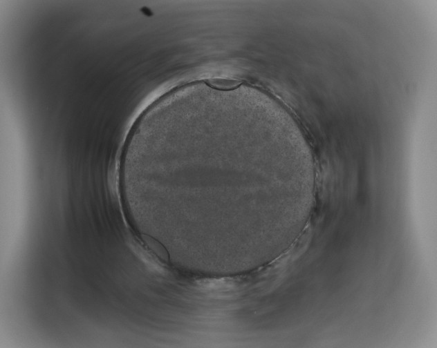 X0000113910100200910221341