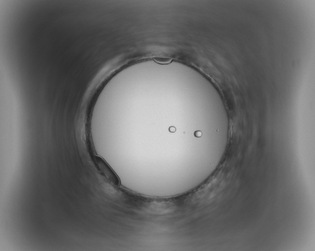 X0000113910101200910221341
