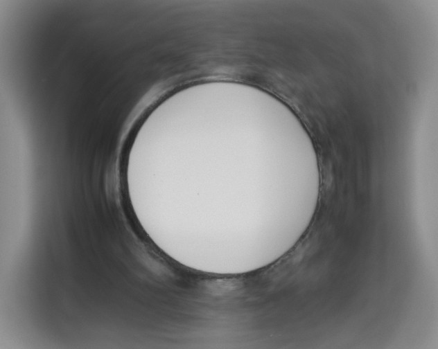 X0000113910102200910221341