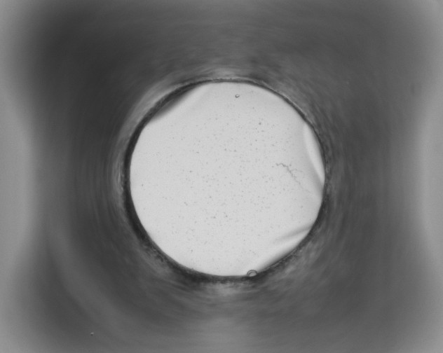 X0000113910103200910221341