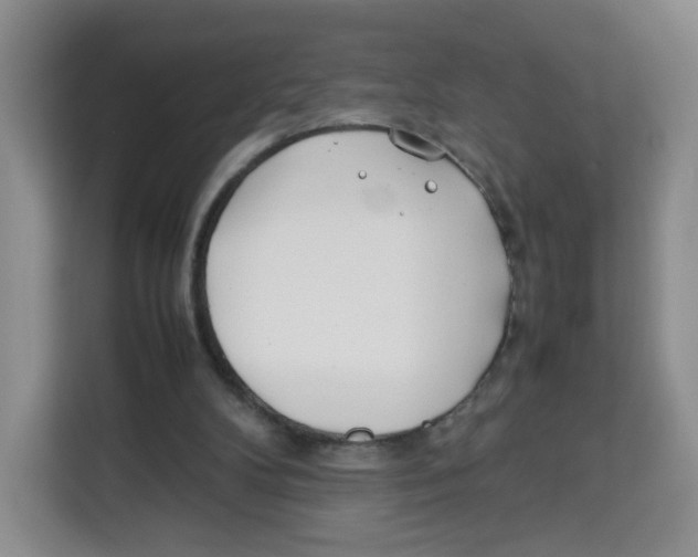 X0000113910104200910221341
