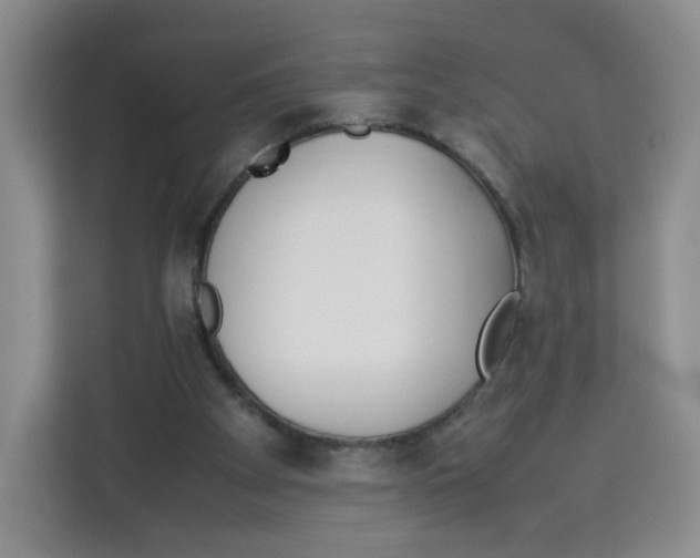 X0000113910105200910221341