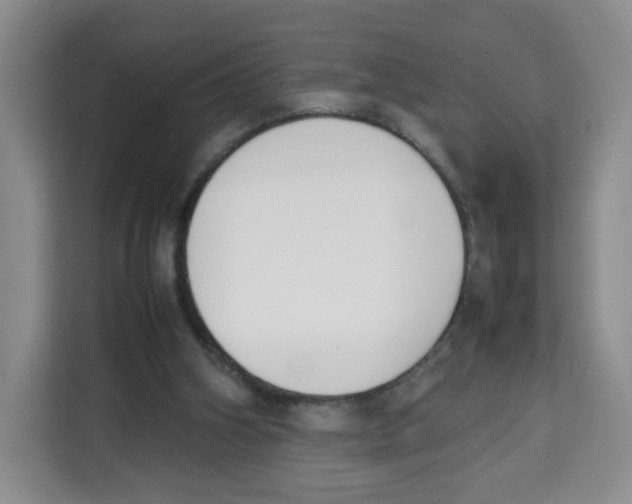 X0000113910106200910221341