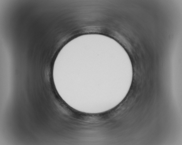 X0000113910107200910221341