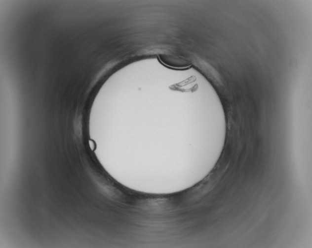 X0000113910108200910221341