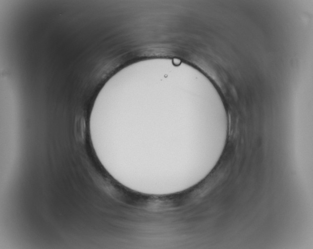 X0000113910109200910221341