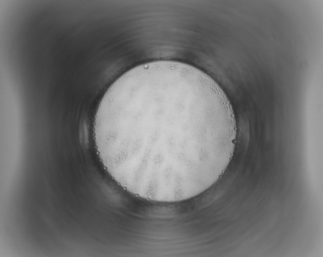 X0000113910110200910221341
