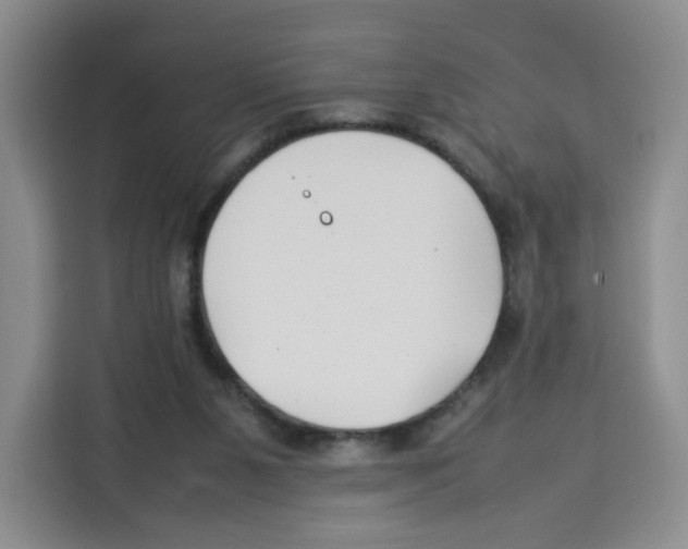 X0000113910111200910221341