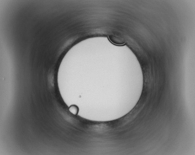 X0000113910112200910221341