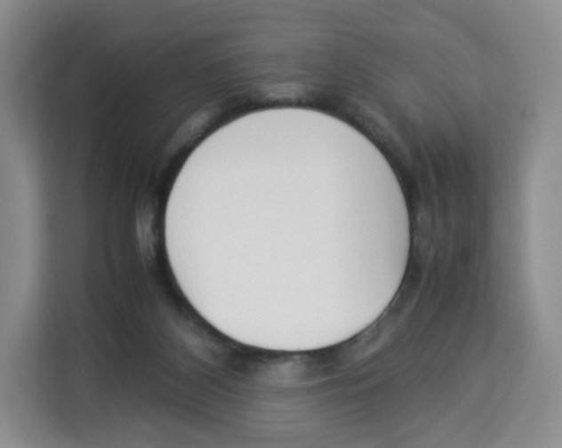 X0000113910116200910221341