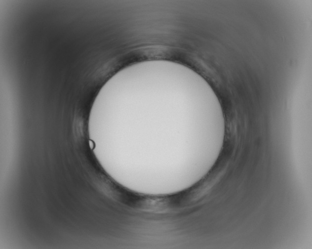 X0000113910117200910221341