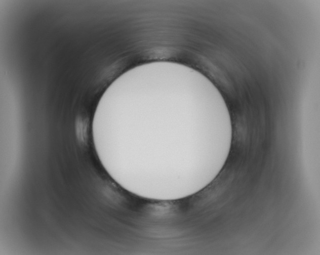 X0000113910118200910221341