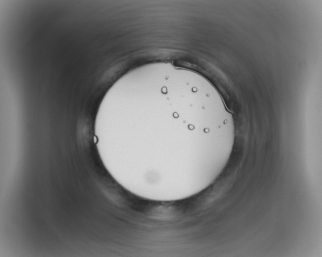X0000113910119200910221341