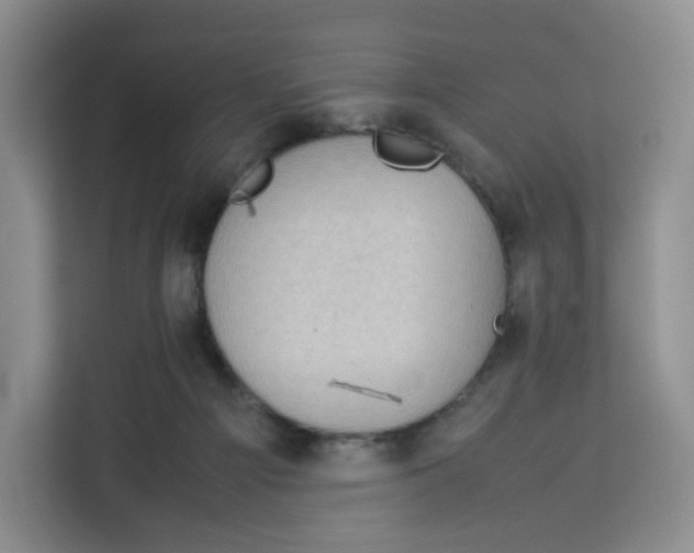 X0000113910121200910221341