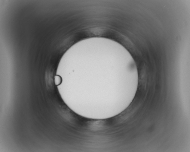 X0000113910122200910221341