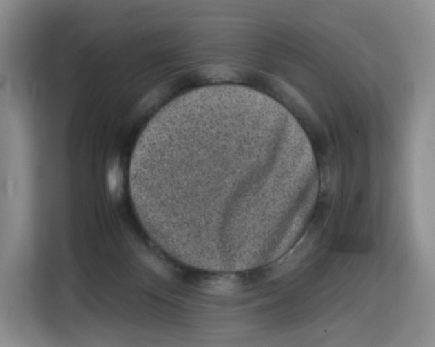 X0000113910124200910221341