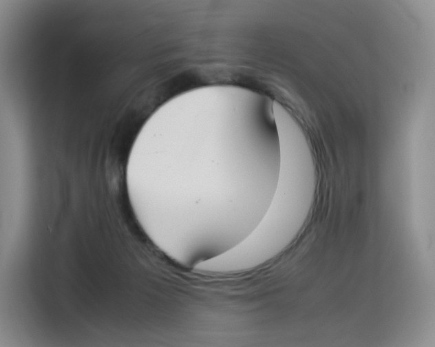 X0000113910125200910221341