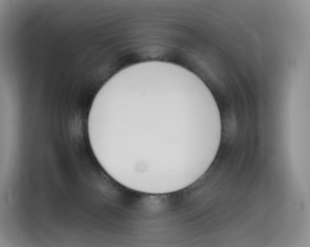 X0000113910126200910221341