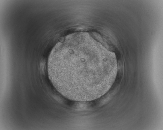 X0000113910127200910221341