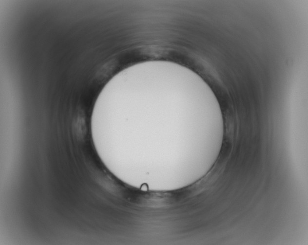 X0000113910128200910221341