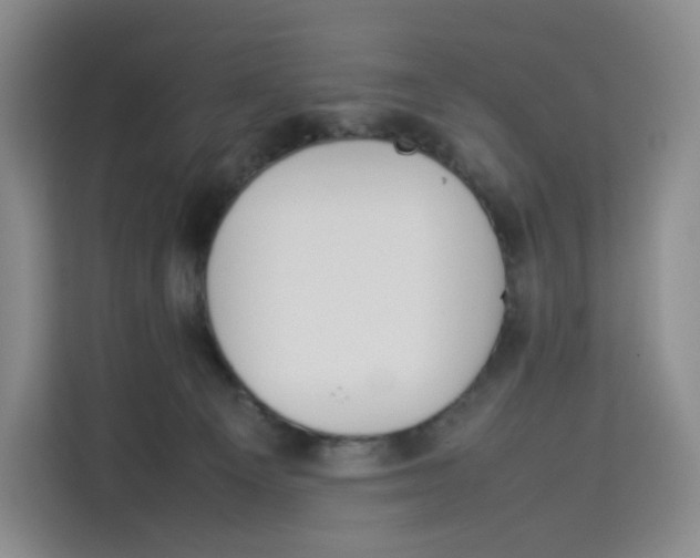 X0000113910129200910221341
