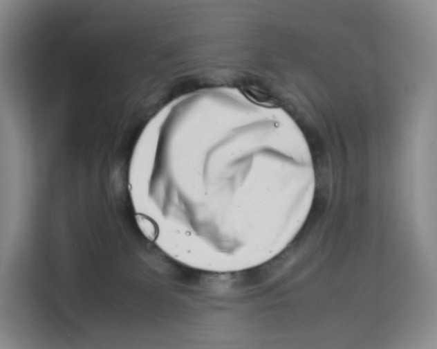 X0000113910131200910221341